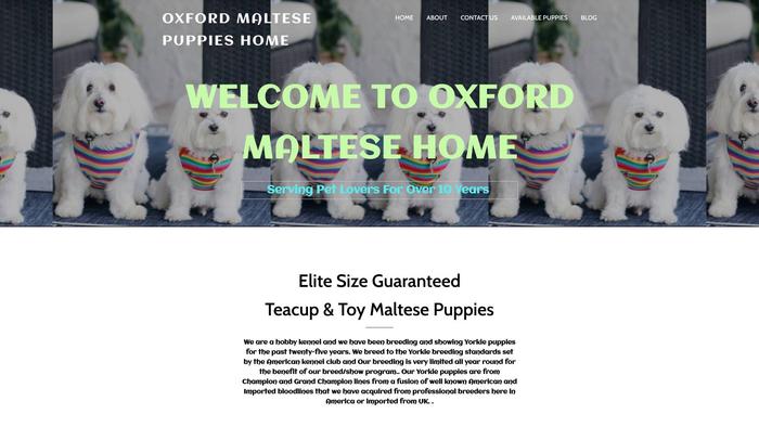 Oxfordmaltesehome.com - Maltese Puppy Scam Review