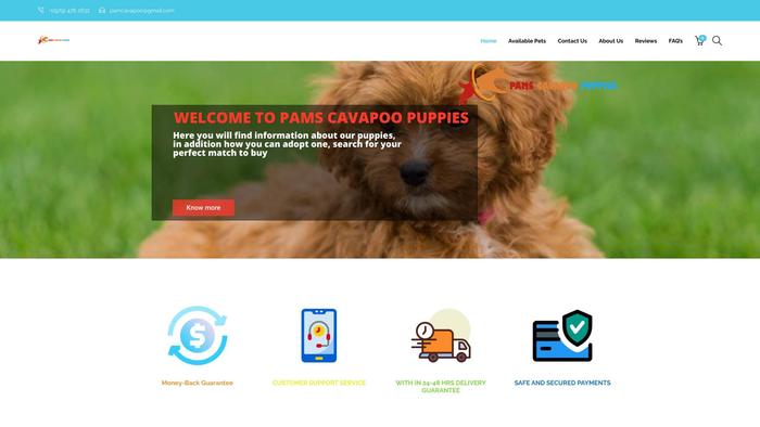 Pamscavapoopuppies.com - Cavapoo Puppy Scam Review