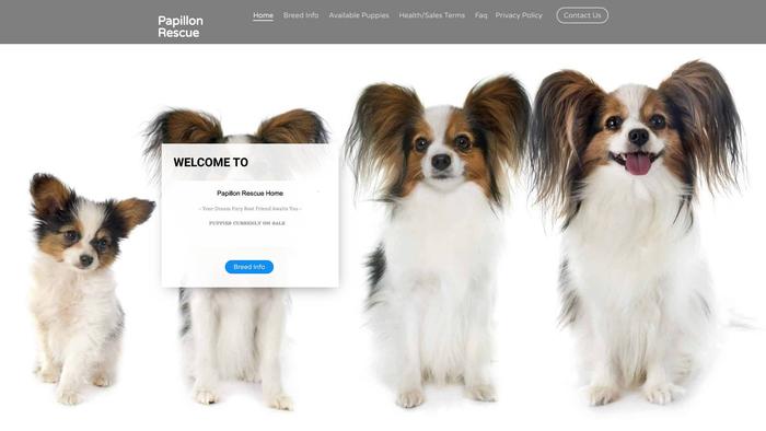 Papillon-rescue.com - Papillon Puppy Scam Review