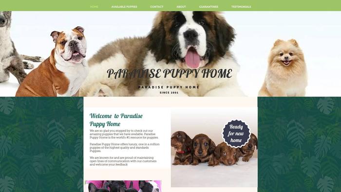 Paradisepuppyhome.com - French Bulldog Puppy Scam Review