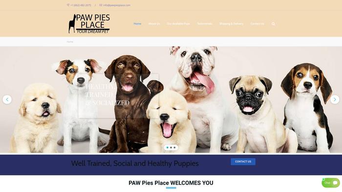 Pawpiesplace.com - Labrador Puppy Scam Review