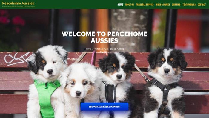 Peacehomeaussies.com - Australian Shepherd Puppy Scam Review