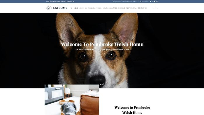 Pembrokewelshhome.com - Corgi Puppy Scam Review