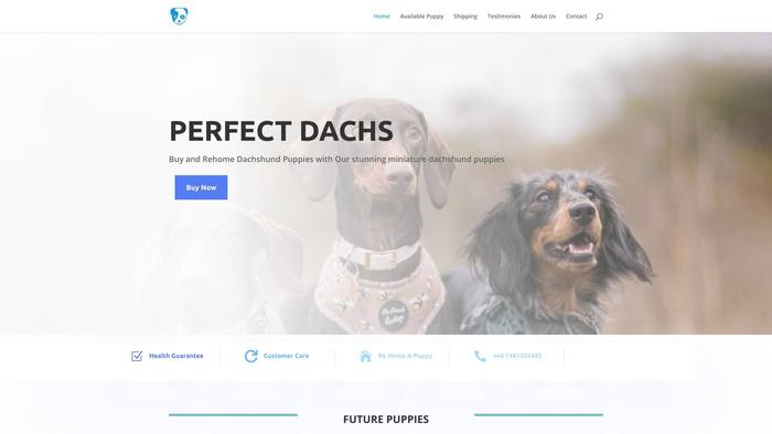 Perfectdachs.com - Dachshund Puppy Scam Review