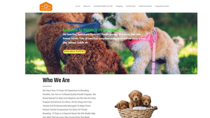 Poodlepromiseland.com - Poodle Puppy Scam Review