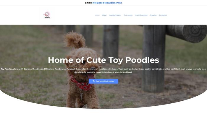 Poodlespuppies.online - Poodle Puppy Scam Review