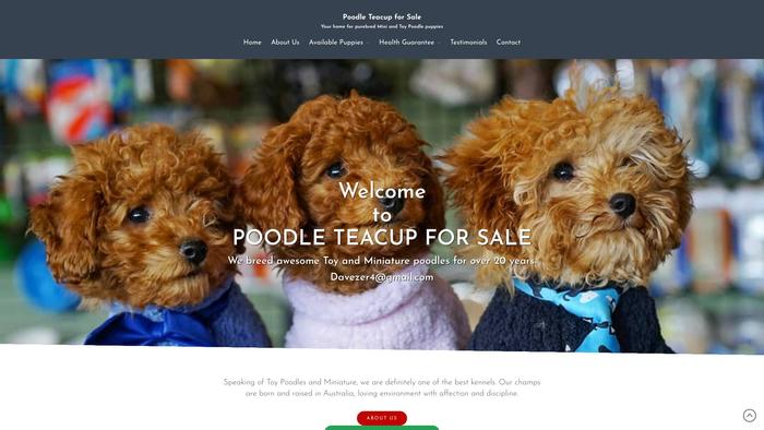 Poodleteacupforsale.com - Poodle Puppy Scam Review