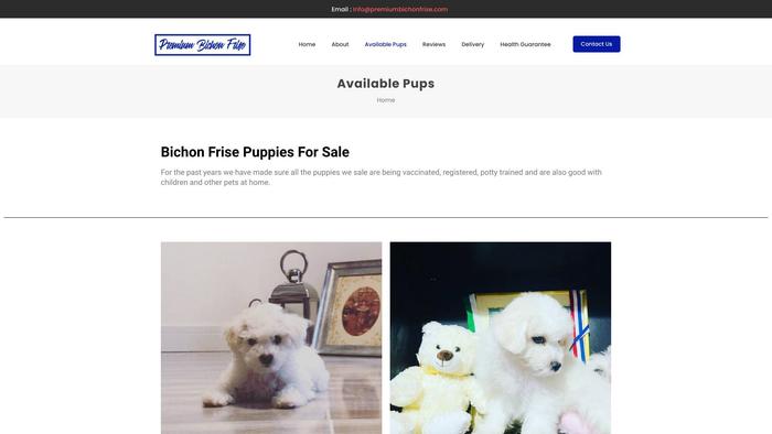 Premiumbichonfrise.com - Bichon Frise Puppy Scam Review