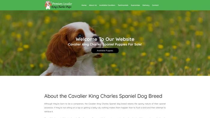 Premiumcavalierkingcharlespups.com - Cavalier King Charles Spaniel Puppy Scam Review