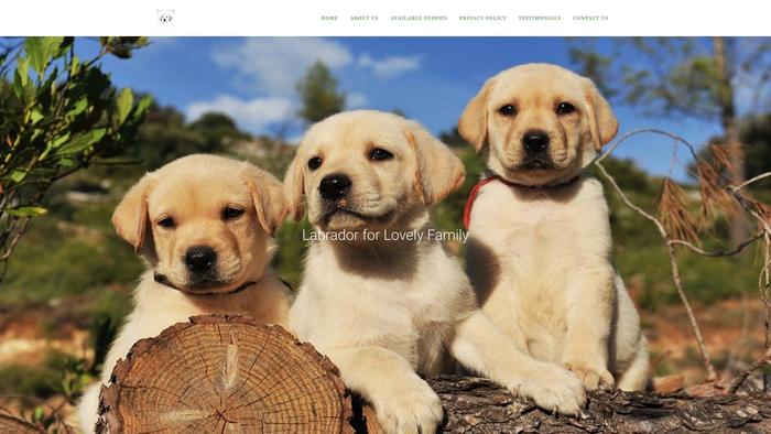 Prettylabradorfarm.com - Labrador Puppy Scam Review