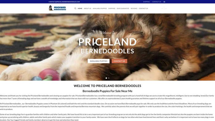 Pricelandbernedoodles.com - Bernedoodle Puppy Scam Review