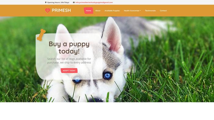 Primesiberianhuskypups.com - Husky Puppy Scam Review