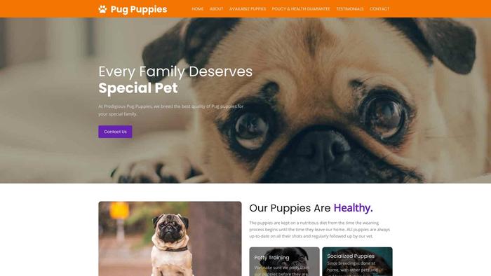 Prodigiouspugpuppies.com - Pug Puppy Scam Review