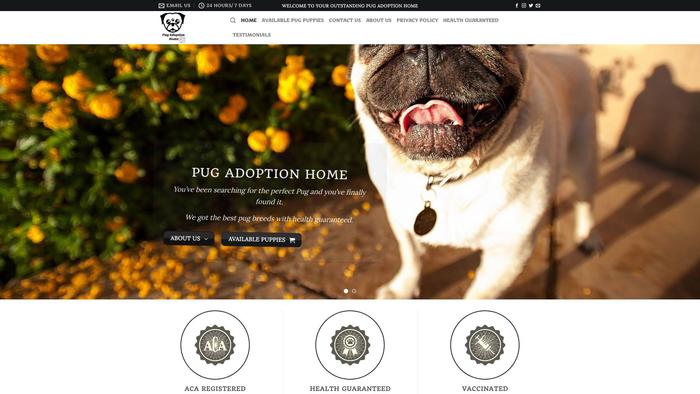 Pugadoptionhome.com - Pug Puppy Scam Review