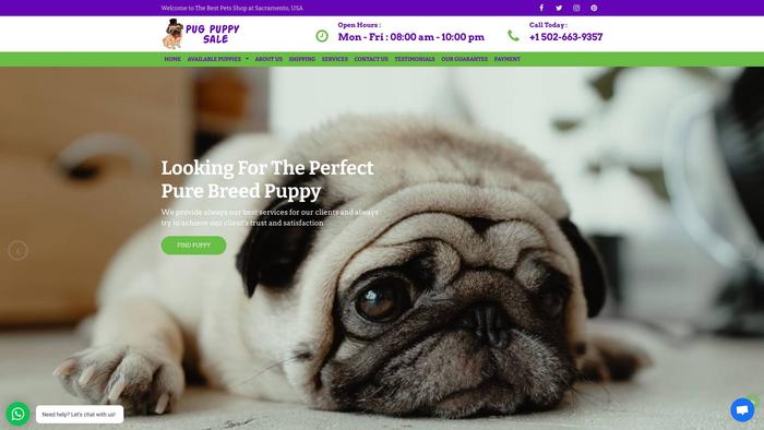 Pugpuppysales.com - Pug Puppy Scam Review