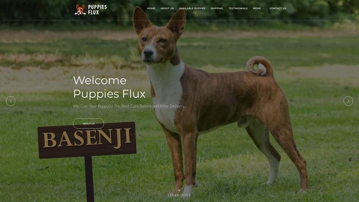 Puppiesflux.com - Basenji Puppy Scam Review