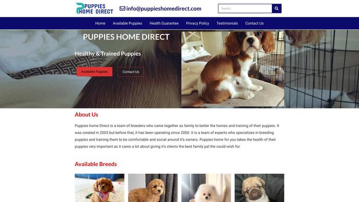 Puppieshomedirect.com - Cavalier King Charles Spaniel Puppy Scam Review