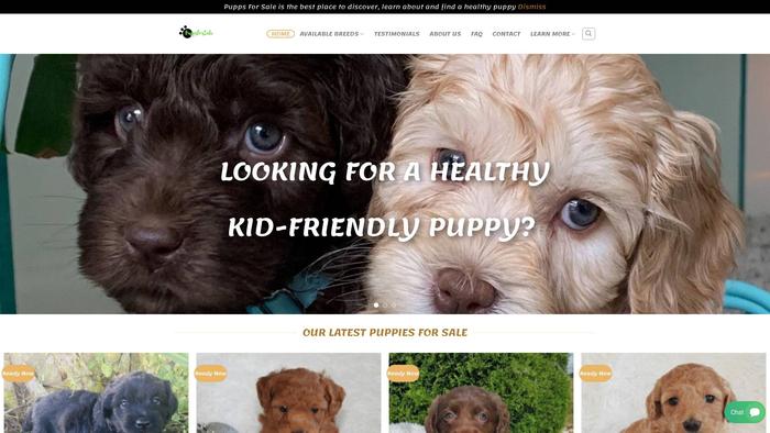 Puppsforsale.com - Pomsky Puppy Scam Review