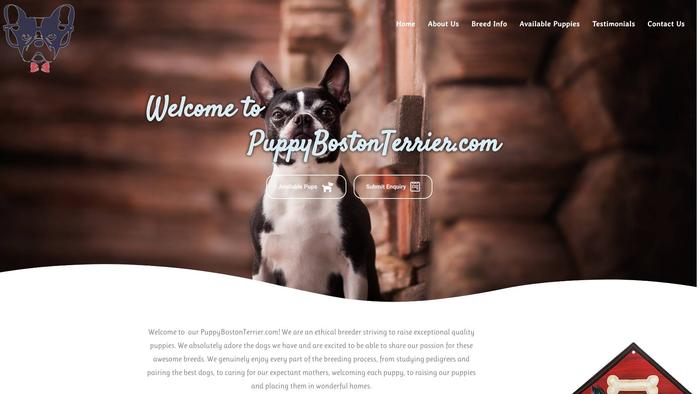 Puppybostonterrier.com - Terrier Puppy Scam Review