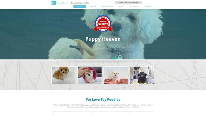 Puppyheavenpups.com - Poodle Puppy Scam Review