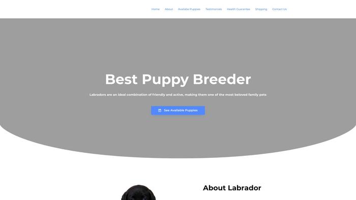 Puppyhome.online - Labrador Puppy Scam Review