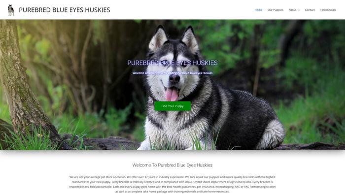 Purebredblueeyeshuskies.com - Husky Puppy Scam Review