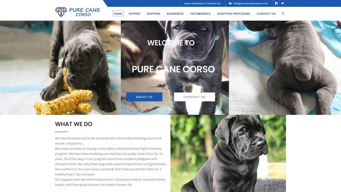 Purecanecorso.com - Cane Corso Puppy Scam Review