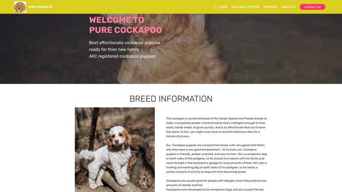 Purecockapoo.com - Cockapoo Puppy Scam Review