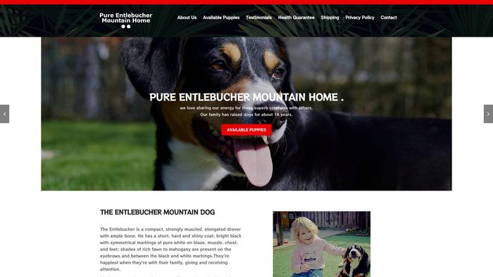 Pureentlebuchermountainhome.com - Bernese Mountain Dog Puppy Scam Review