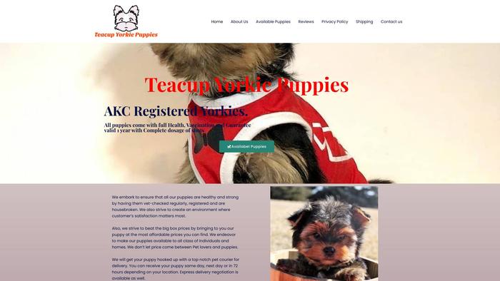 Qualityteacupyorkiepuppies.com - Yorkshire Terrier Puppy Scam Review