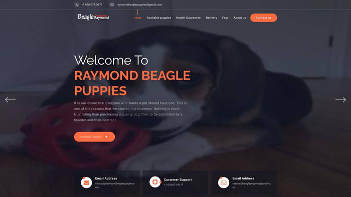 Raymondbeaglepuppies.com - Beagle Puppy Scam Review