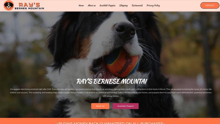 Raysbernesemountain.com - Bernese Mountain Dog Puppy Scam Review