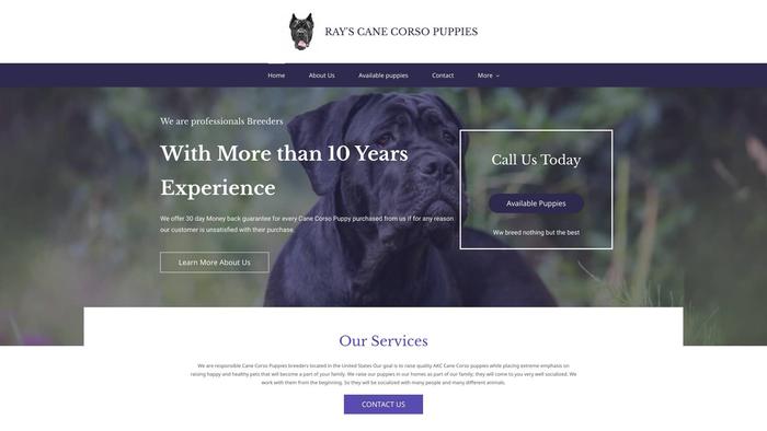 Rayscanecorsopups.com - Cane Corso Puppy Scam Review