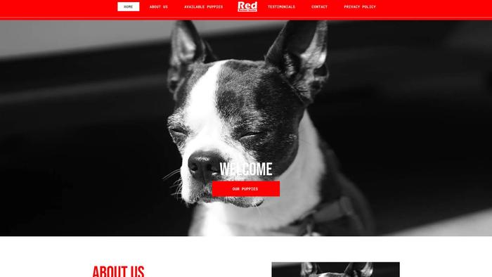 Redbostonterrier.com - Terrier Puppy Scam Review