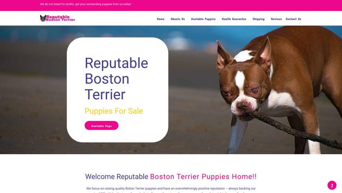 Reputablebostonterrier.com - Boston Terrier Puppy Scam Review