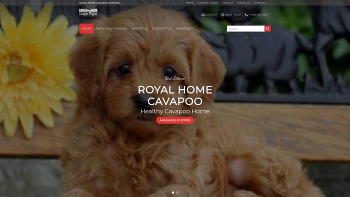 Rhcavapoopuppies.com - Cavapoo Puppy Scam Review