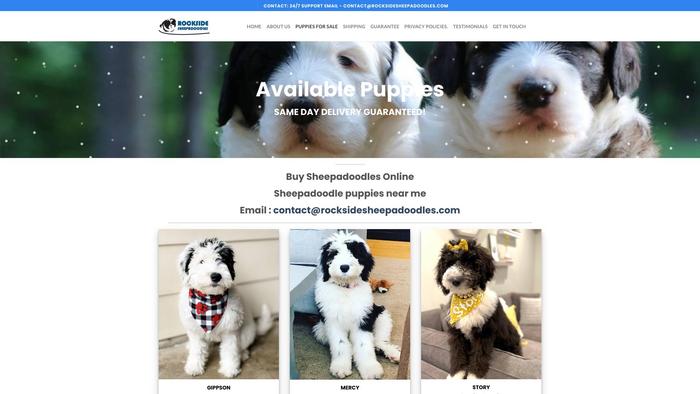 Rocksidesheepadoodles.com - Labradoodle Puppy Scam Review