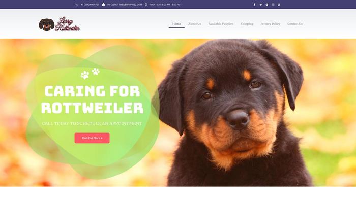 Rottweilerpuppiez.com - Rottweiler Puppy Scam Review