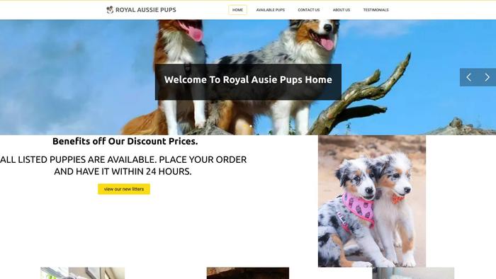 Royalausiepups.net - Australian Shepherd Puppy Scam Review