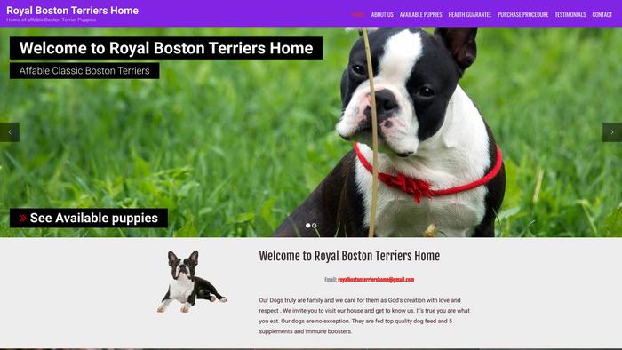 Royalbostonterriershome.com - Terrier Puppy Scam Review