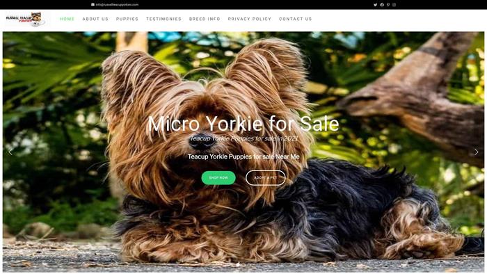 Russellteacupyorkies.com - Yorkshire Terrier Puppy Scam Review