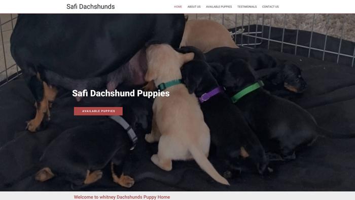 Safidachshundpuppies.com - Dachshund Puppy Scam Review