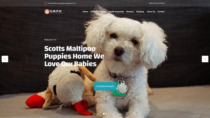 Scottsmaltipoopuppieshome.com - Maltipoo Puppy Scam Review