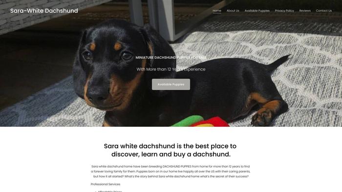 Serawhitedachshunds.com - Dachshund Puppy Scam Review