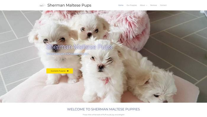 Shermanmaltesepups.com - Maltese Puppy Scam Review