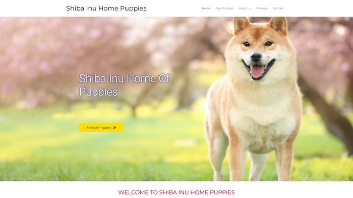 Shibainuhomepuppies.com - Shibhainu Puppy Scam Review