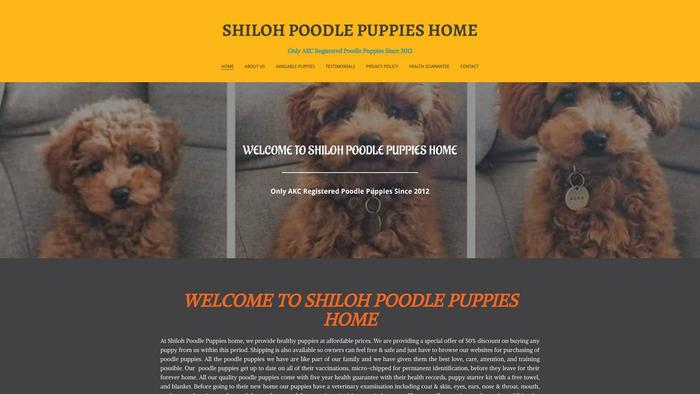 Shilohpoodle.com - Poodle Puppy Scam Review