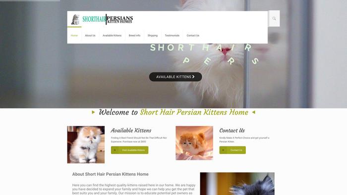 Shorthairpersiankittenshome.com - British Shorthair Puppy Scam Review