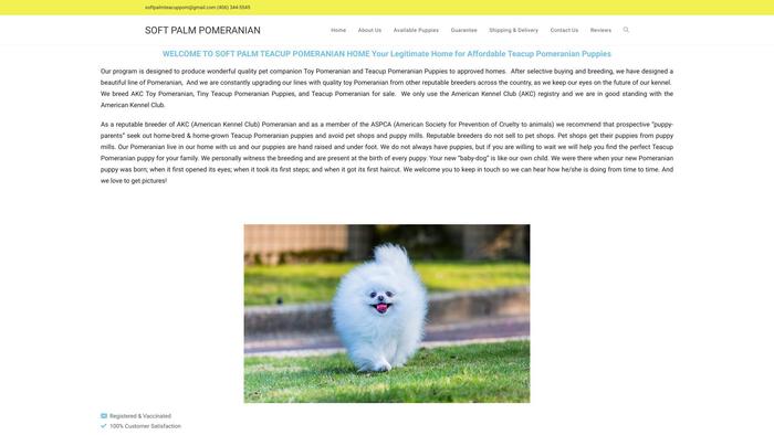 Softpalmteacuppom.com - Pomeranian Puppy Scam Review