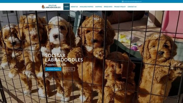 Solstarlabradoodles.com - Labradoodle Puppy Scam Review